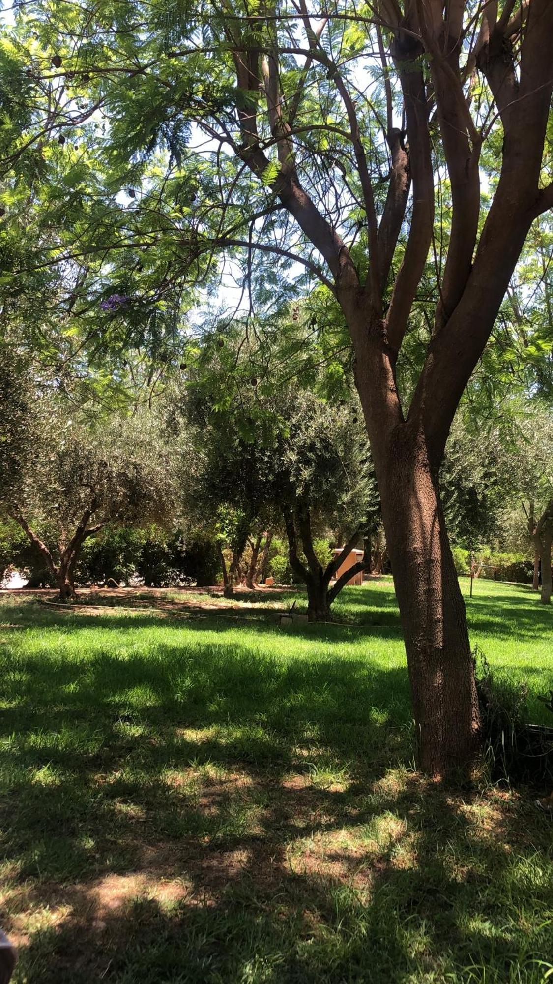 Palmeraie Village 2 - Cosi Appartement En Rez De Jardin Marraquexe Exterior foto
